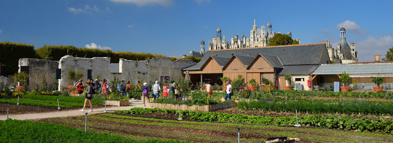 Chateau_chambord